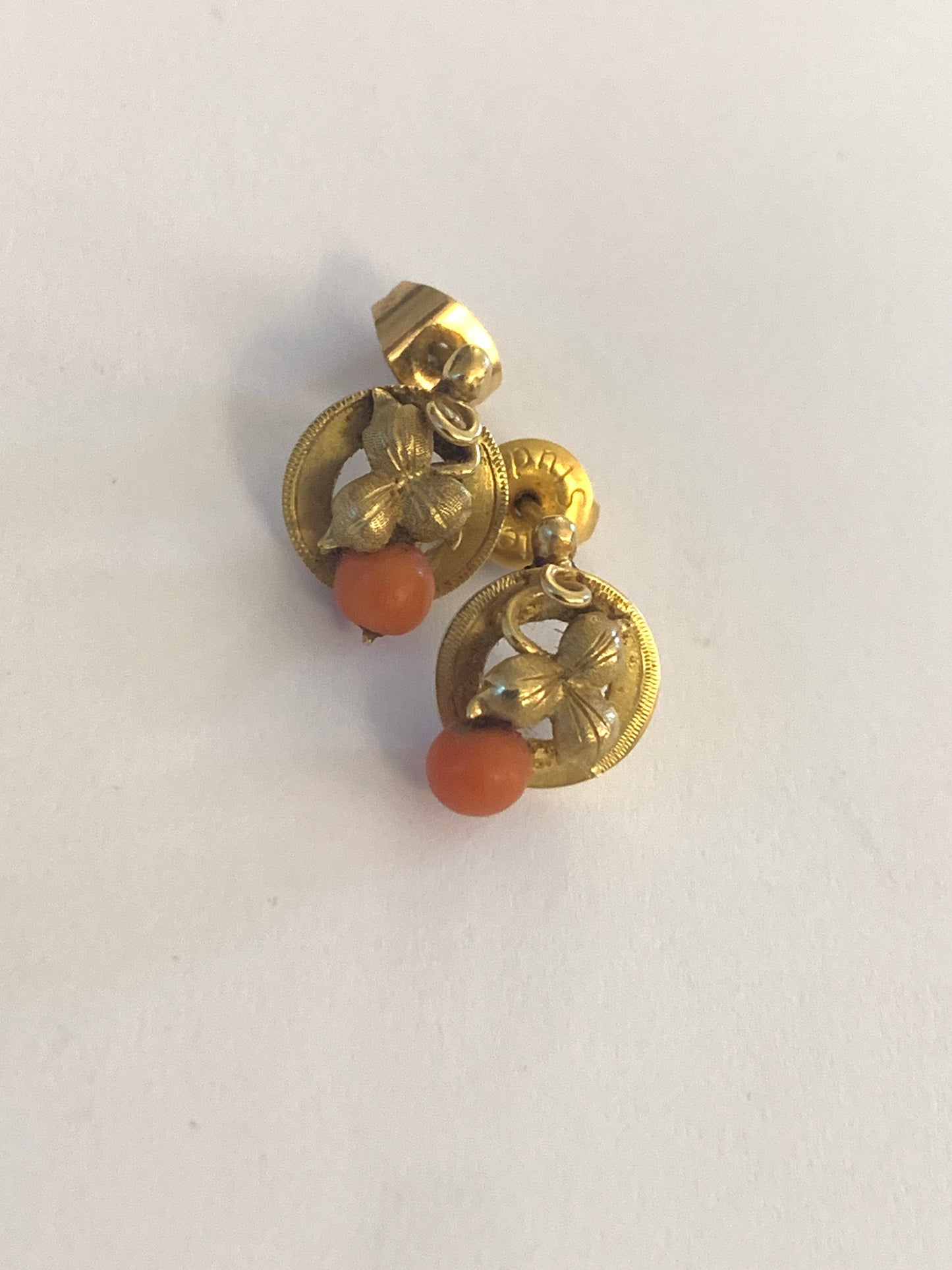 Puces d’oreille à trèfles
